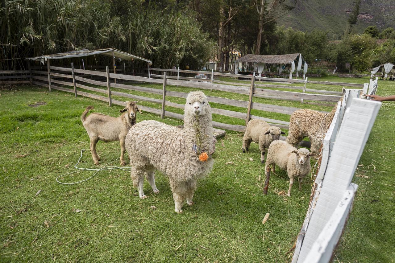 The Sacred Valley Lodge - Hotel Cusco Yucay ภายนอก รูปภาพ